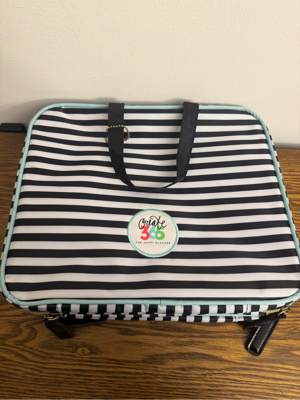 NWOT The Happy Planner Create 365 Striped Storage Case Bag